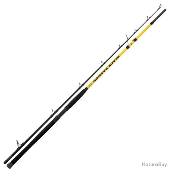 Canne Spinning Black Cat Black Passion G2 2m70 2 50 - 200g 323g