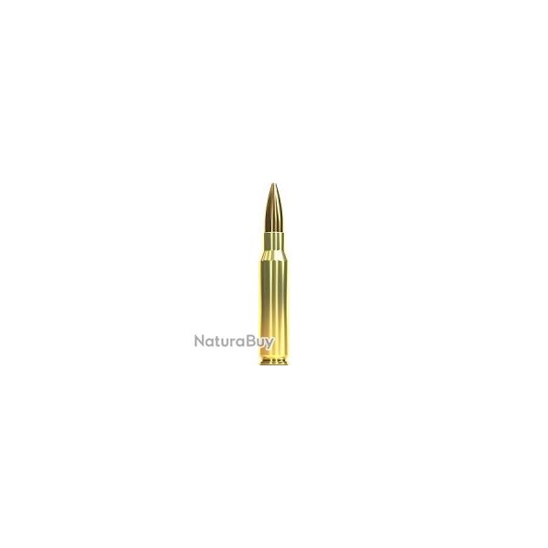 Munitions SELLIER BELLOT cal.308 win hptb 168 grs 10.9g par 20