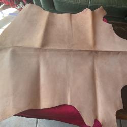 Peau cuir de ch&egrave;vre tann&eacute;e, pas de prix de r&eacute;serve