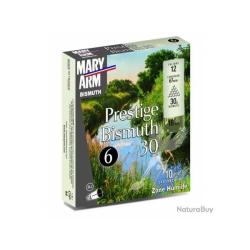 PROMO Mary Arm Prestige BISMUTH 30g N&deg;2
