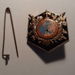 1 insigne section geographique MILITAIRE