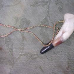 corne d'appel corne naturelle 15,5  cm