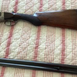 Cause maladie vent fusil de chasse