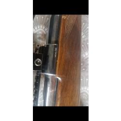 Carabine brno 300 win mag + lunettes