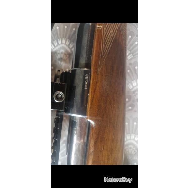 Carabine brno 300 win mag + lunettes