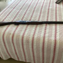 Cause maladie vent fusil de chasse