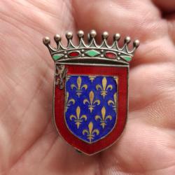 INSIGNE ESCADRON TRANSPORT 2 / 64 MAINE ( EMAIL GRAND FEU )