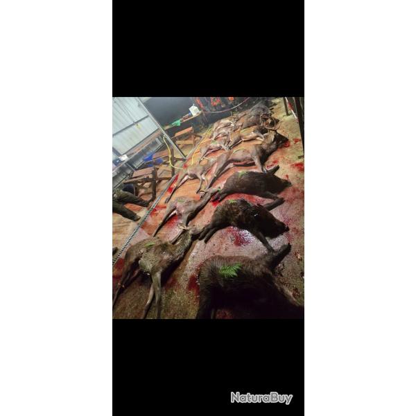 Recherche traqueur avec chien Longpont91
