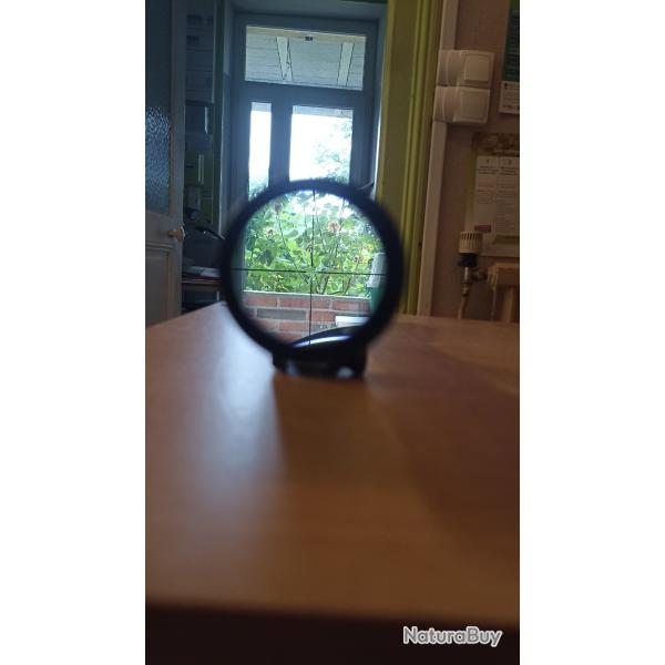 Lunette Bushnell Elite 2.5-10 x 50