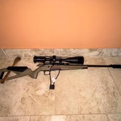 Winchester Xpert 22 lr