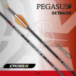 CROSS-X - Fl&egrave;che PEGASUS OCTAGON 4.2 (x6) 600