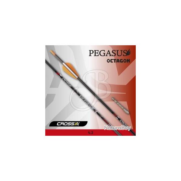 CROSS-X - Fl�che PEGASUS OCTAGON 4.2 (x6) 1000
