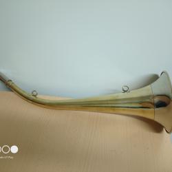 Pibole/corne 55cm hourvari