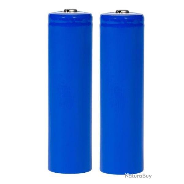 Batteries t�l�commande CANICOM GPS / GPS 2 / GPS MINI (pack de 2)