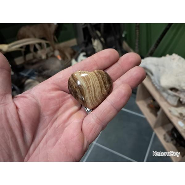 Pierre polie et sculpt�e en forme de coeur ; bois fossilis�