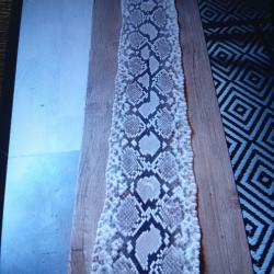 Peau de serpent