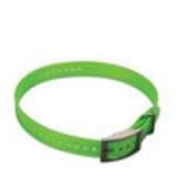 Garmin sangles origine pour collier T5 et TT15 Orange