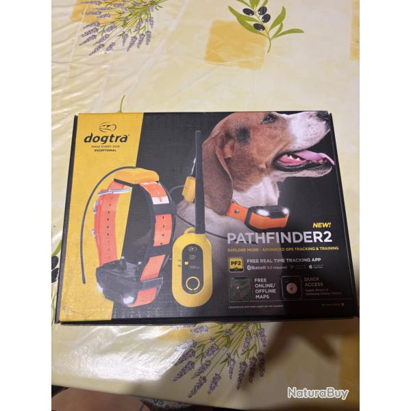 Dogtra pathfinder 2