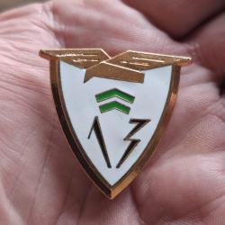 INSIGNE 13 ESCADRE DE CHASSE ( FIA - A 880 - 1962 / 1995 )