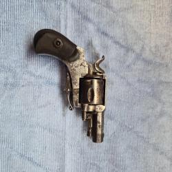 Buldog 32 short