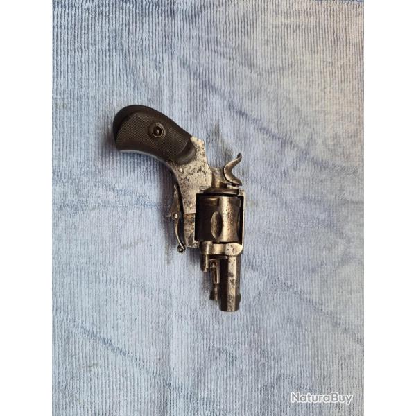 Buldog 32 short