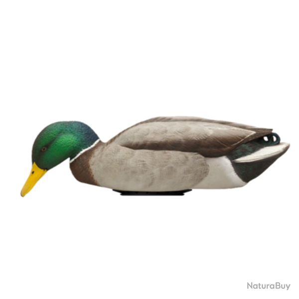 Forme de canard en mouvement POWER SHAKER - AVIANX M�le colvert mangeur