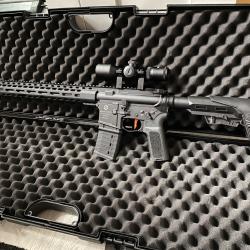 Carabine Schmeisser 222 remington