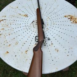 CARABINE."22 LR "SHORT MANU ARM.