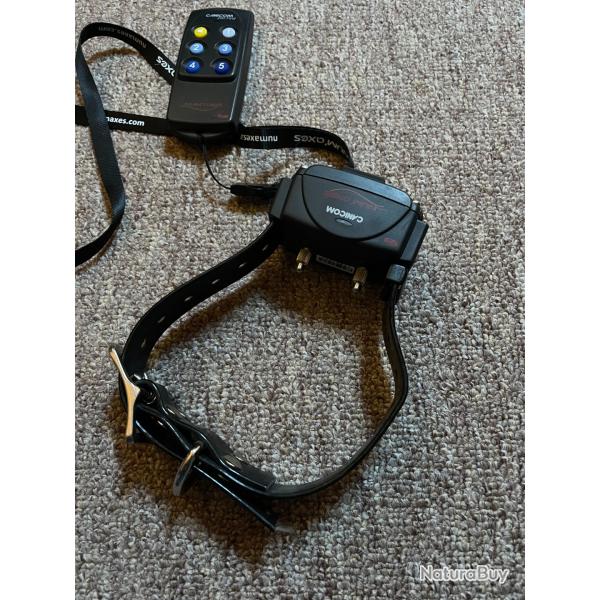 Collier de dressage Canicom 200 Num'axes - pile neuf CR2 - petit chien / teckel