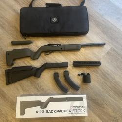 Ruger 10/22 take down