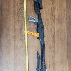 Ruger Precision Rimfire .22 LR + Timney 649ST + Tuner OCC + Bipied Hawke Carbone