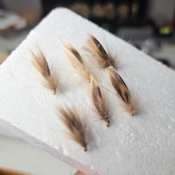 6 &eacute;mergeantes de sedge