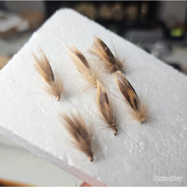 6 �mergeantes de sedge