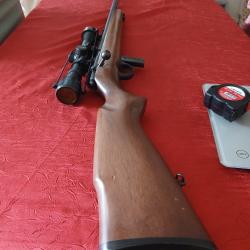 Carabine 22LR armscor avec lunette& silencieux