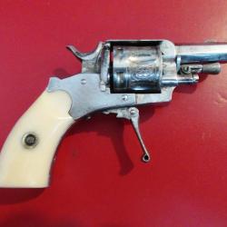 Puppy .22 Short
