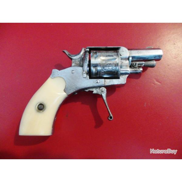 Puppy .22 Short