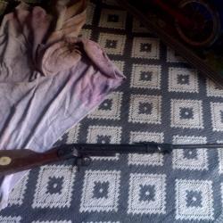 Carabine &agrave; plomb moins de 20 joules