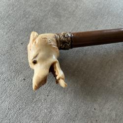 Canne &eacute;p&eacute;e