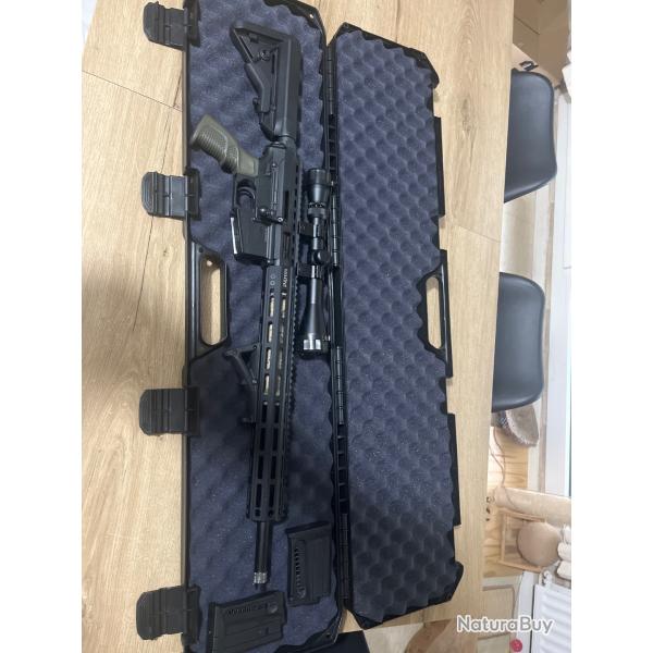 Pallas 22lr