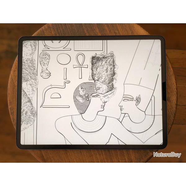 Film Protection Ecran et Ecriture pour iPad-iPad Pro 9.7 / iPad Air 2