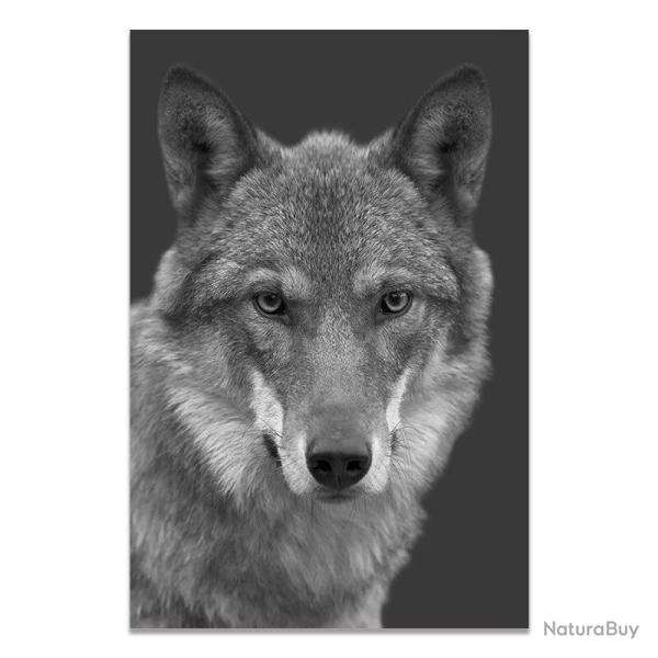 Peinture Impression HD sur Toile Animaux-5-50x70cm