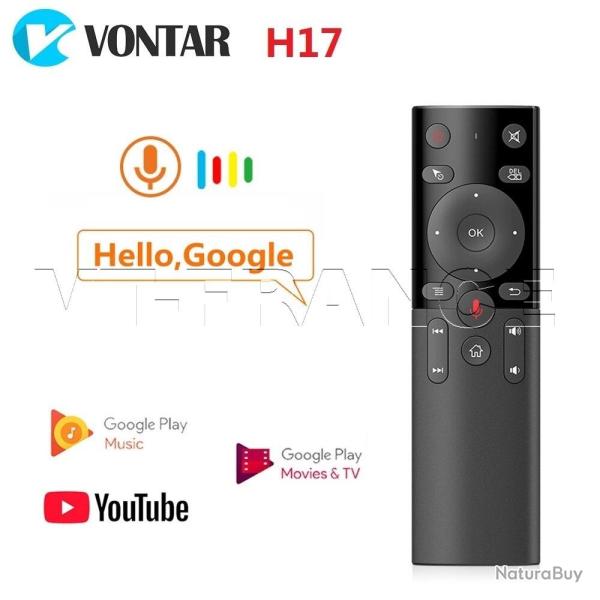 Telecommande Souris Sans Fil Google Assistant-H17
