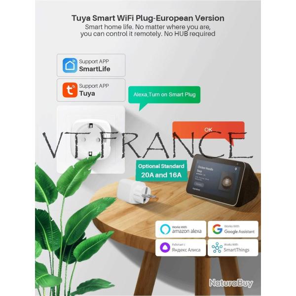 Prise Connectee Wifi Alexa Google Tuya SmartLife-1pc