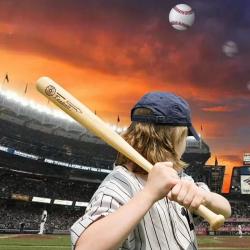 Batte de Baseball Pro Bois Massif-54cm