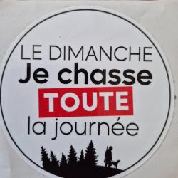 Autocollant chasse, canard francais