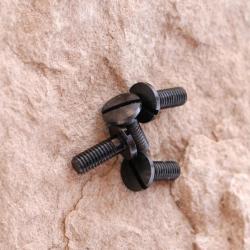 Vis pour plaquettes de Sig Sauer model Mosquito - Par 4