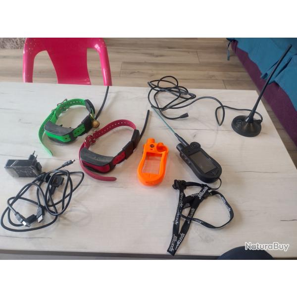 ensemble COMPLET colliers GPS + Centrale Sportdog Tek 2 + ...
