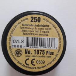 Boite de 250 Amorces RWS 1075 plus