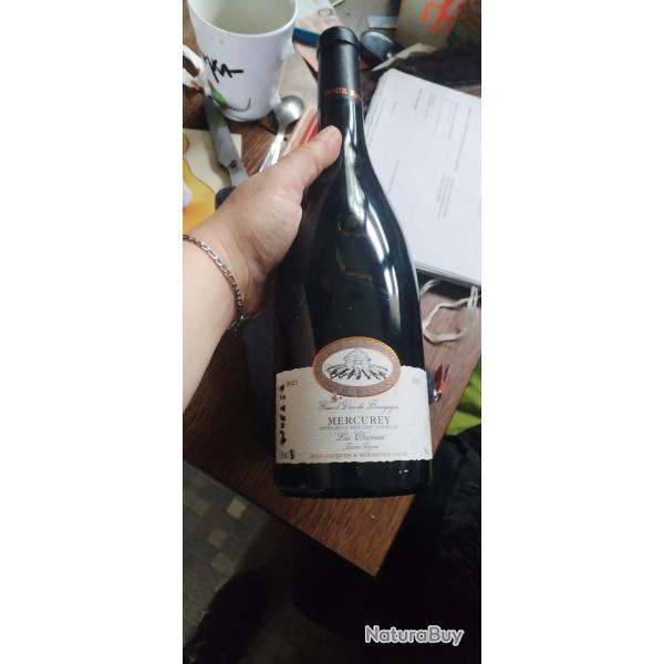 Vin