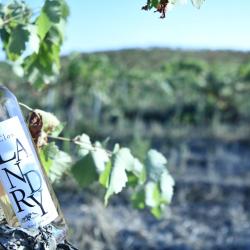 Clos Landry Ros&eacute; gris